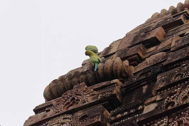 Bhubaneswar-Parashurameshwara temple-047
